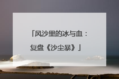 风沙里的冰与血：复盘《沙尘暴》