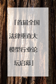 首届全国法律垂直大模型行业论坛启幕