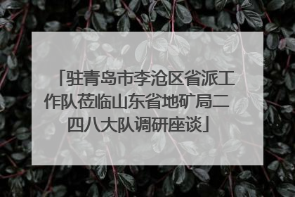 驻青岛市李沧区省派工作队莅临山东省地矿局二四八大队调研座谈