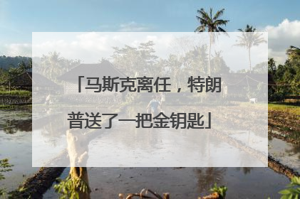 马斯克离任，特朗普送了一把金钥匙