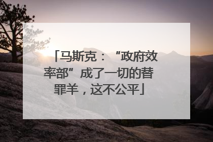 马斯克：“政府效率部”成了一切的替罪羊，这不公平