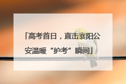 高考首日，直击襄阳公安温暖“护考”瞬间