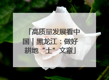 高质量发展看中国｜黑龙江：做好耕地“土”文章