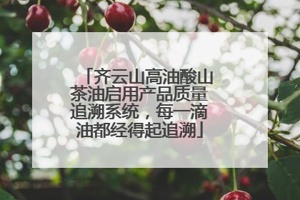 齐云山高油酸山茶油启用产品质量追溯系统，每一滴油都经得起追溯