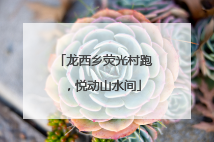 龙西乡荧光村跑，悦动山水间