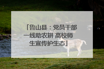 鲁山县：党员干部一线助农耕 高校师生宣传护生态