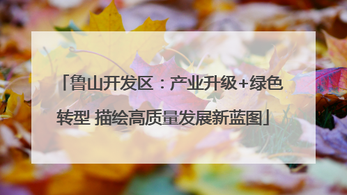 鲁山开发区：产业升级+绿色转型 描绘高质量发展新蓝图