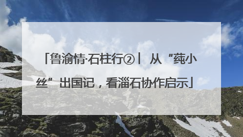 鲁渝情·石柱行② ︳从“莼小丝”出国记，看淄石协作启示