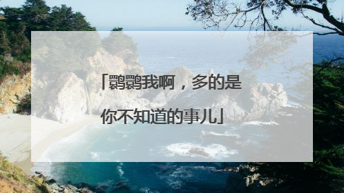 鹮鹮我啊，多的是你不知道的事儿