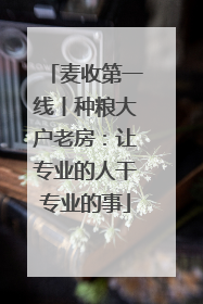 麦收第一线丨种粮大户老房：让专业的人干专业的事