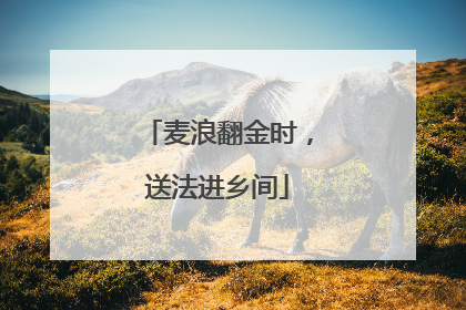 麦浪翻金时，送法进乡间