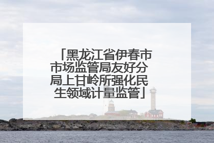 黑龙江省伊春市市场监管局友好分局上甘岭所强化民生领域计量监管
