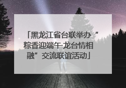 黑龙江省台联举办“粽香迎端午·龙台情相融”交流联谊活动