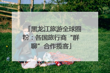 黑龙江旅游全球圈粉：各国旅行商“群聊”合作揽客