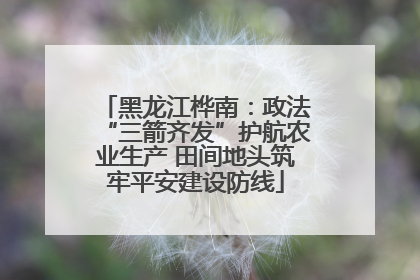 黑龙江桦南：政法“三箭齐发”护航农业生产 田间地头筑牢平安建设防线