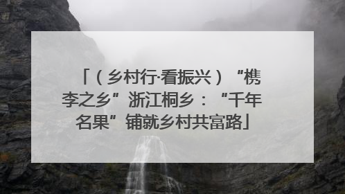 （乡村行·看振兴）“槜李之乡”浙江桐乡：“千年名果”铺就乡村共富路
