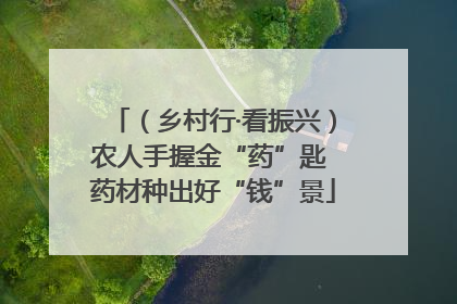 （乡村行·看振兴）农人手握金“药”匙 药材种出好“钱”景