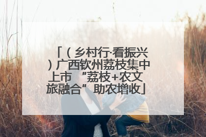 （乡村行·看振兴）广西钦州荔枝集中上市 “荔枝+农文旅融合”助农增收