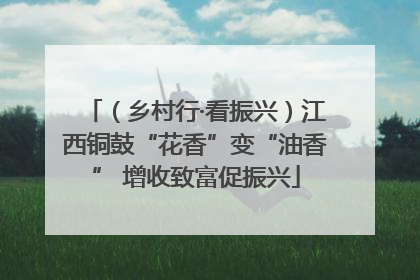 （乡村行·看振兴）江西铜鼓“花香”变“油香” 增收致富促振兴
