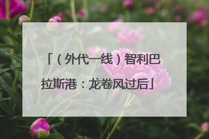 （外代一线）智利巴拉斯港：龙卷风过后