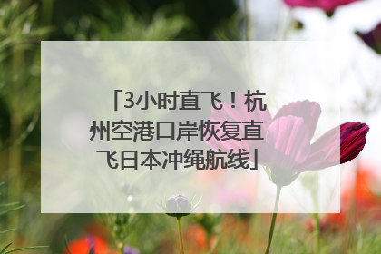 3小时直飞！杭州空港口岸恢复直飞日本冲绳航线