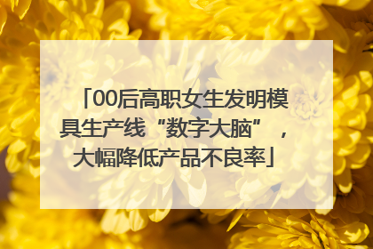 00后高职女生发明模具生产线“数字大脑”，大幅降低产品不良率