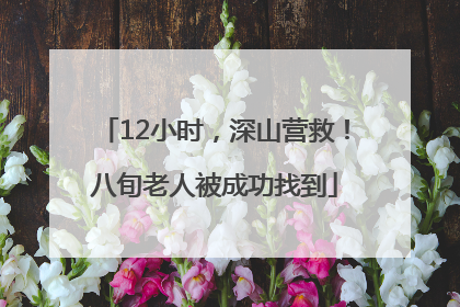 12小时，深山营救！八旬老人被成功找到