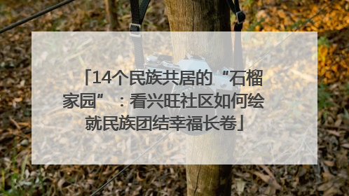 14个民族共居的“石榴家园”：看兴旺社区如何绘就民族团结幸福长卷