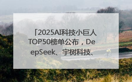 2025AI科技小巨人TOP50榜单公布，DeepSeek、宇树科技、蘑菇车联等企业荣誉上榜
