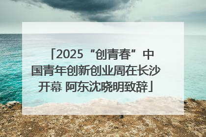 2025“创青春”中国青年创新创业周在长沙开幕 阿东沈晓明致辞
