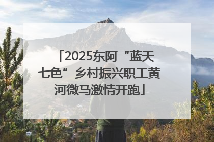 2025东阿“蓝天七色”乡村振兴职工黄河微马激情开跑