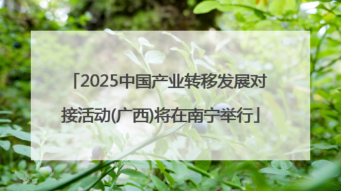 2025中国产业转移发展对接活动(广西)将在南宁举行