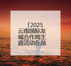 2025云南国际友城合作周主题活动在昆明举行