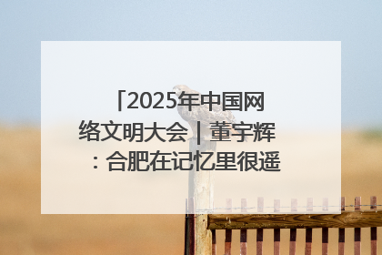 2025年中国网络文明大会｜董宇辉：合肥在记忆里很遥远也很亲切