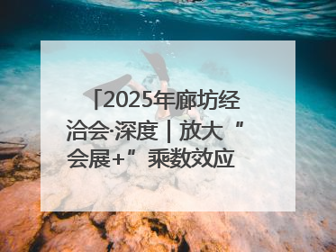 2025年廊坊经洽会·深度｜放大“会展+”乘数效应 打造消费新场景
