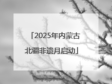 2025年内蒙古北疆非遗月启动