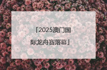 2025澳门国际龙舟赛落幕