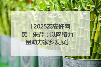 2025泰安好网民|宋芹:以网络力量助力家乡发展
