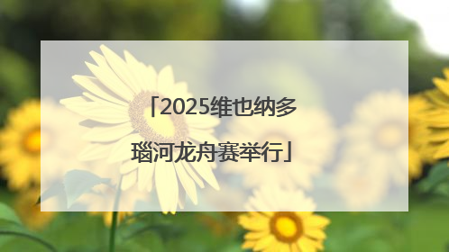 2025维也纳多瑙河龙舟赛举行