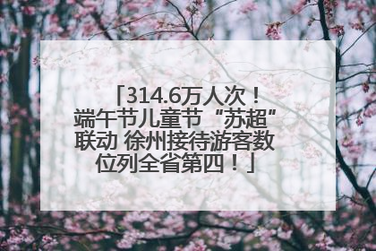 314.6万人次！端午节儿童节“苏超”联动 徐州接待游客数位列全省第四！
