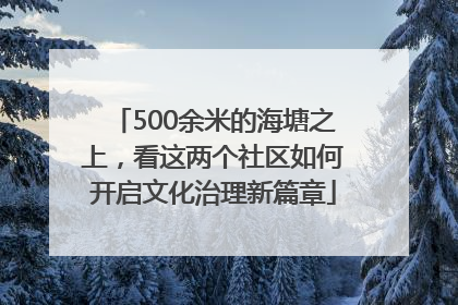 500余米的海塘之上，看这两个社区如何开启文化治理新篇章