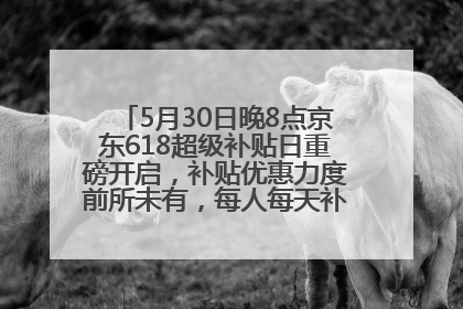 5月30日晚8点京东618超级补贴日重磅开启，补贴优惠力度前所未有，每人每天补贴超6180元！