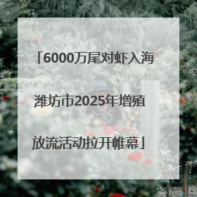 6000万尾对虾入海 潍坊市2025年增殖放流活动拉开帷幕