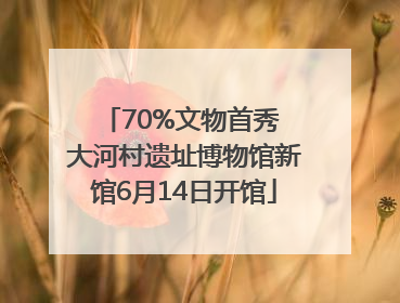 70%文物首秀 大河村遗址博物馆新馆6月14日开馆