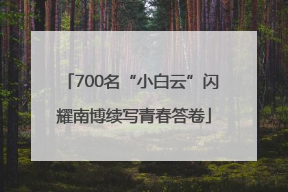 700名“小白云”闪耀南博续写青春答卷
