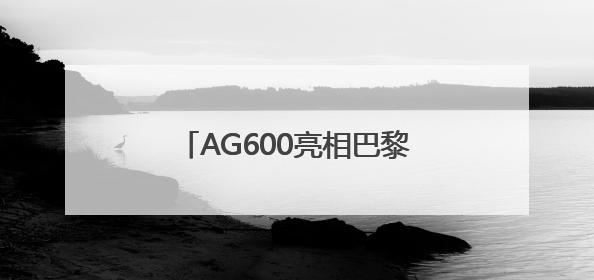 AG600亮相巴黎航展 荆门“试炼场”见证“鲲龙”腾飞