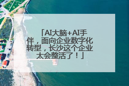 AI大脑+AI手伴，面向企业数字化转型，长沙这个企业太会整活了！