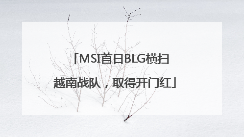 MSI首日BLG横扫越南战队，取得开门红
