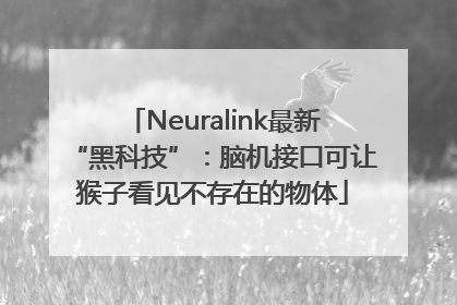 Neuralink最新“黑科技”：脑机接口可让猴子看见不存在的物体